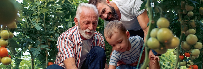 Keep it in the family with smart tax planning