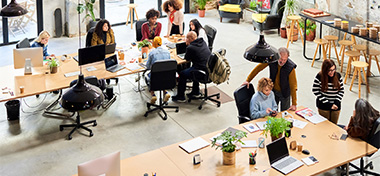 Employees in their office working