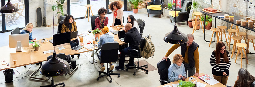 Employees in their office working