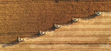 Harvesting In Agriculture Crop Field