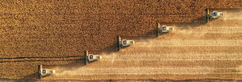 Harvesting In Agriculture Crop Field