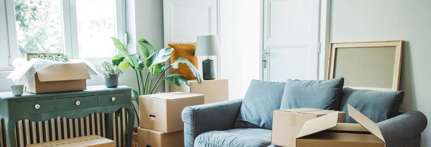 Renting house