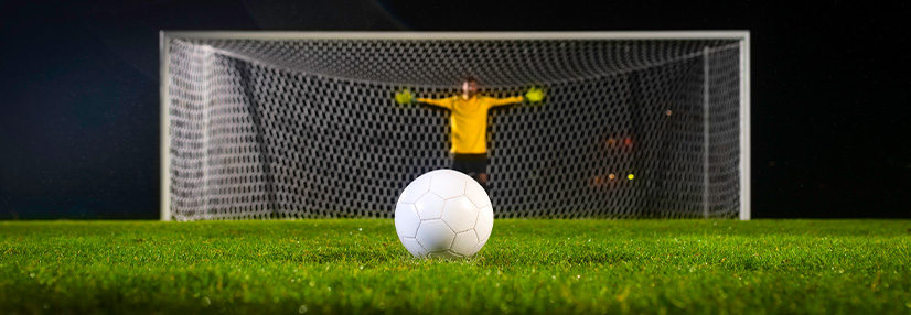Goalie waiting for the ball to be kicked