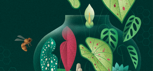 women and wealth - a growing frontier