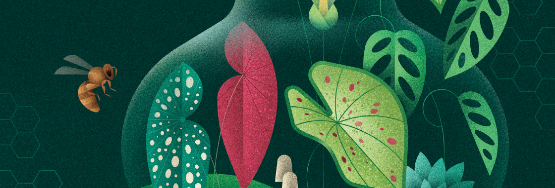 women and wealth - a growing frontier