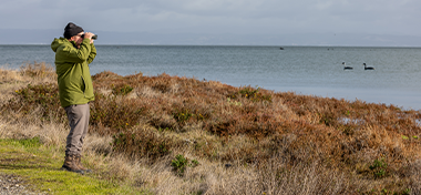  Man Birding Along Coast