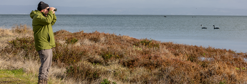  Man Birding Along Coast