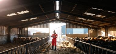 Farm building