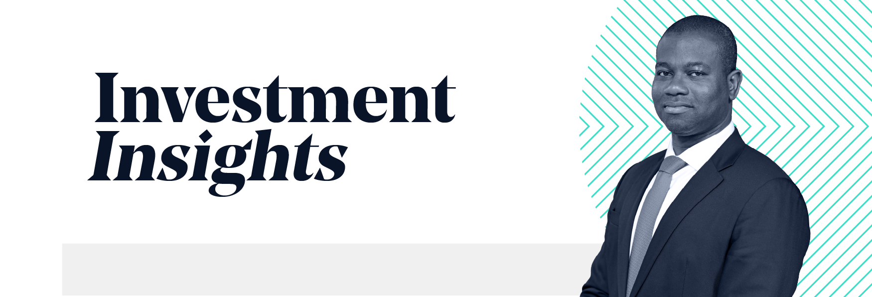 Investment insights