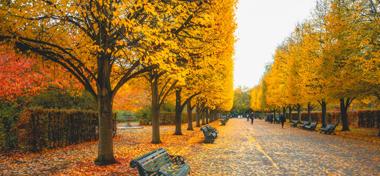 Autumn in London