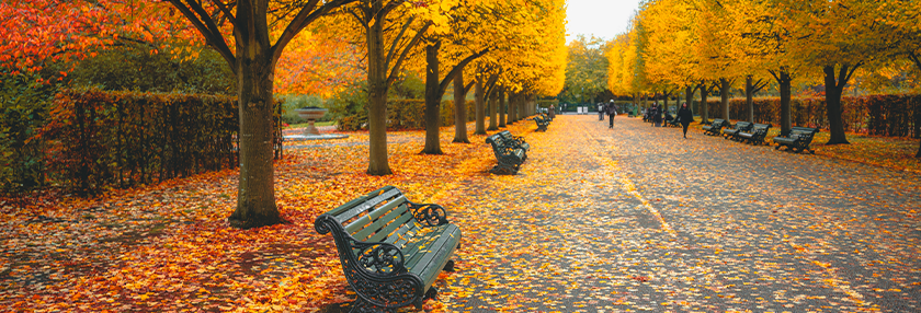 Autumn in London