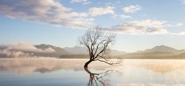 Misting morning on a lake