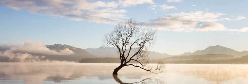 Misting morning on a lake