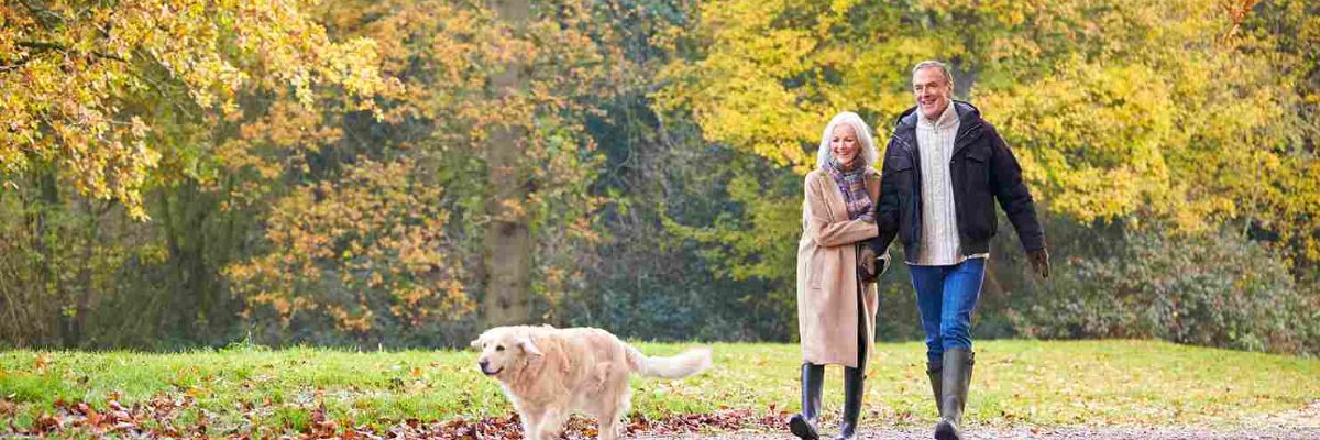 Retirement investing: Are you still on track?