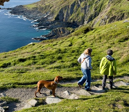 tim walking dog