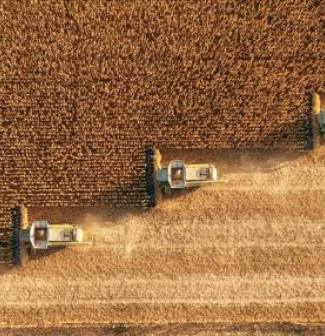 Harvesting In Agriculture Crop Field